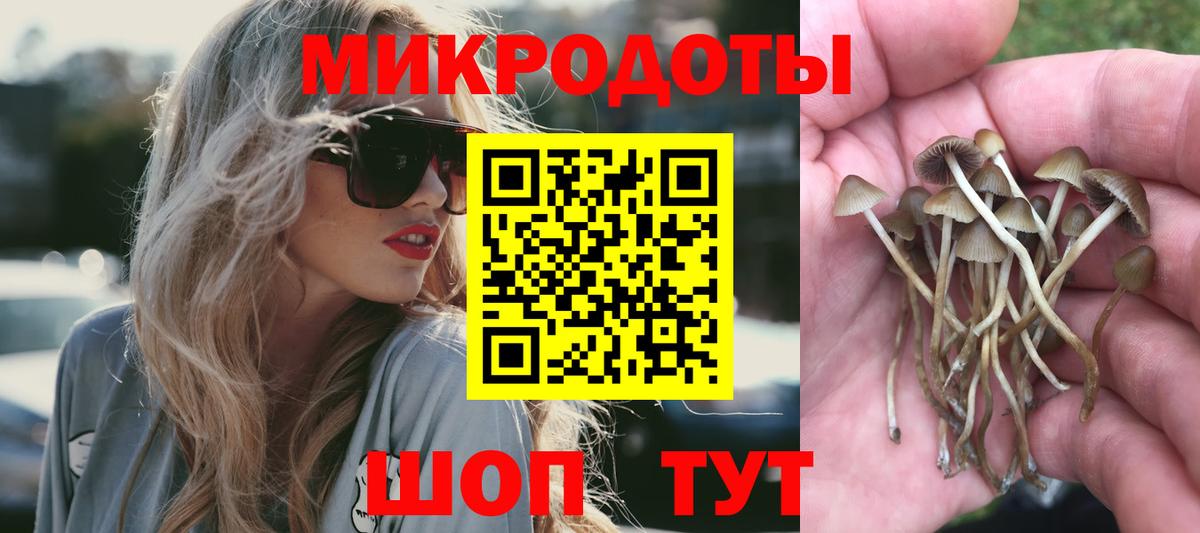 магазин продажи   Галлюциногенные грибы Psilocybine cubensis  Вход с VPN  Сызрань 